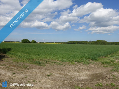 Skoczów Pruchna 115ha pod zabudowe stadnine lux lokalizacja - Skoczów  -
śląskie Zdjęcie nr 4