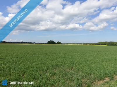 Skoczów Pruchna 115ha pod zabudowe stadnine lux lokalizacja - Skoczów  -
śląskie Zdjęcie nr 6