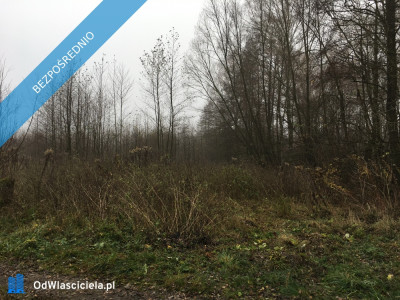 Działki budowlane 1ha oraz 213ha rolnych z prawem do zabudowy MPZP Choiny gm Parysów - Choiny  -
mazowieckie Zdjęcie nr 4