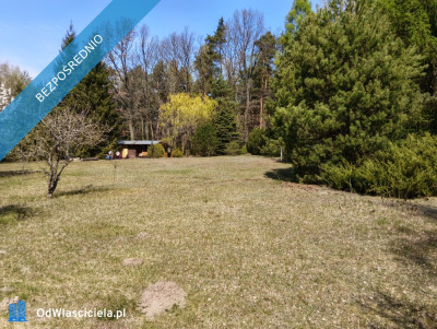 piekna dzialka dla odpowiediego klijenta - Łódź  -
łódzkie Zdjęcie nr 3