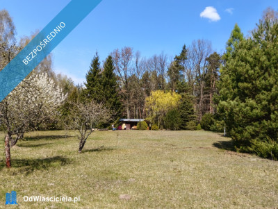 piekna dzialka dla odpowiediego klijenta - Łódź  -
łódzkie Zdjęcie nr 4