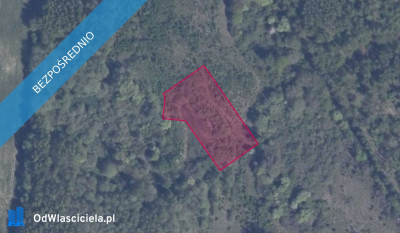 Działka 42620 w Pręgowie Górnym - Pręgowo  - pomorskie