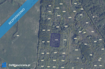 Działka 42613 w miejscowości Pręgowo Górne - Pręgowo  - pomorskie