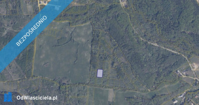 Działka 42614 w miejscowości Pręgowo Górne - Pręgowo  -
pomorskie Zdjęcie nr 2