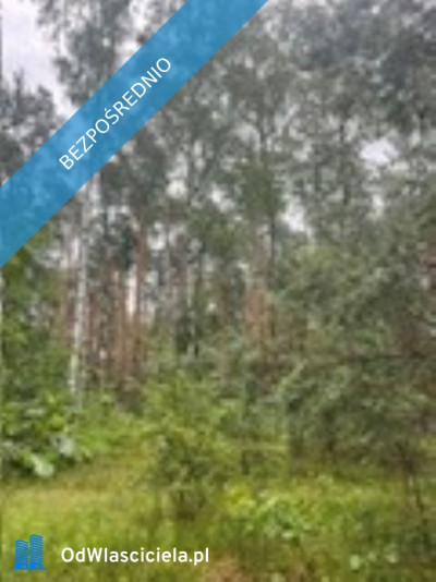 Działka budowlana ul Polany Aleksandrów  - Wawer  -
mazowieckie Zdjęcie nr 2