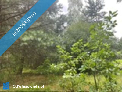 Działka budowlana ul Polany Aleksandrów  - Wawer  -
mazowieckie Zdjęcie nr 3