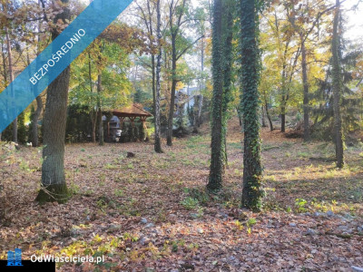 Łomianki Dąbrowa Leśna działka 1500m2 - Łomianki  - mazowieckie