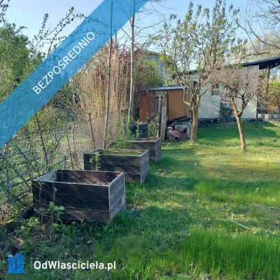 Działka ROD Szarotka Łaziska Górne - Łaziska Górne  -
śląskie Zdjęcie nr 5