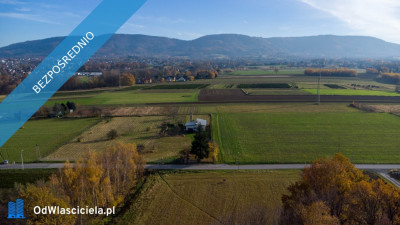 Działka budowlana 1203 ar widokowa z potencjałem - została ostatnia - Hałcnów  -
śląskie Zdjęcie nr 9