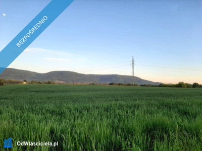 Działka budowlana 1203 ar widokowa z potencjałem - została ostatnia - Hałcnów  -
śląskie Zdjęcie nr 11