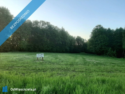 Działka budowlana 1203 ar widokowa z potencjałem - została ostatnia - Hałcnów  -
śląskie Zdjęcie nr 13
