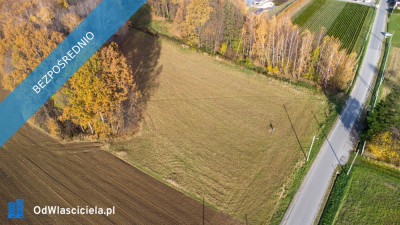 Działka budowlana 1203 ar widokowa z potencjałem - została ostatnia - Hałcnów  -
śląskie Zdjęcie nr 14