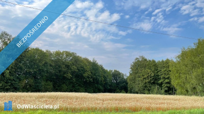 Działka budowlana 1203 ar widokowa z potencjałem - została ostatnia - Hałcnów  -
śląskie Zdjęcie nr 15