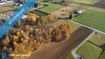 Działka budowlana 1203 ar widokowa z potencjałem - została ostatnia - Hałcnów  -
śląskie Zdjęcie nr 16