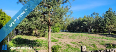 Działka rolno-budowlana z bezpośrednią linią brzegową jeziora - Góry Lubiańskie  -
warmińsko-mazurskie Zdjęcie nr 9