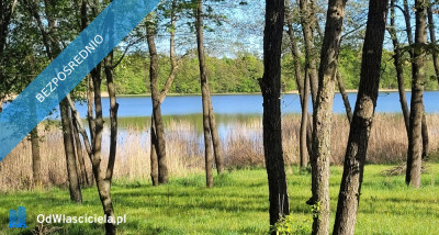 Działka rolno-budowlana z bezpośrednią linią brzegową jeziora - Góry Lubiańskie  -
warmińsko-mazurskie Zdjęcie nr 2