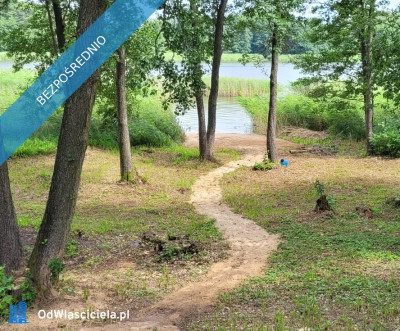 Działka rolno-budowlana z bezpośrednią linią brzegową jeziora - Góry Lubiańskie  -
warmińsko-mazurskie Zdjęcie nr 3