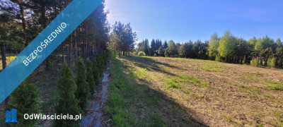 Działka rolno-budowlana z bezpośrednią linią brzegową jeziora - Góry Lubiańskie  -
warmińsko-mazurskie Zdjęcie nr 5