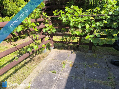 Działka ROD z przyczepą nad morzem  - Niekłonice  -
zachodniopomorskie Zdjęcie nr 3