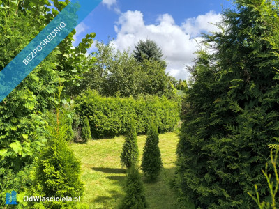 Działka ROD z przyczepą nad morzem  - Niekłonice  -
zachodniopomorskie Zdjęcie nr 4