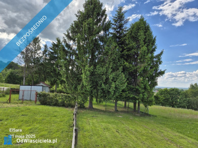 Piękna działka koło Niepołomic i tylko 12 km od Krakowa - Niepołomice  -
małopolskie Zdjęcie nr 4