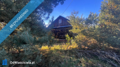 Siedlisko działka rekreacyjna Luszawa Gm Ostrówek - Luszawa  -
lubelskie Zdjęcie nr 5