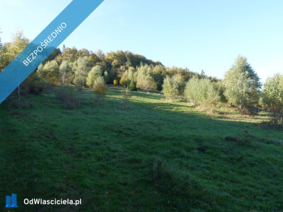 Brenna 253 ha działka inwestycyjna blisko wyciągu - Brenna  -
śląskie Zdjęcie nr 6