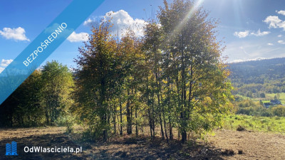 Niepowtarzalna działka widokowa na południowym stoku Zakrzów Wadowice - Zakrzów  -
małopolskie Zdjęcie nr 10