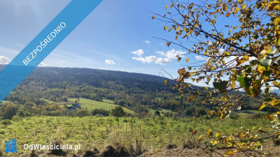 Niepowtarzalna działka widokowa na południowym stoku Zakrzów Wadowice - Zakrzów  -
małopolskie Zdjęcie nr 14