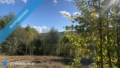 Niepowtarzalna działka widokowa na południowym stoku Zakrzów Wadowice - Zakrzów  -
małopolskie Zdjęcie nr 17