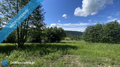 Niepowtarzalna działka widokowa na południowym stoku Zakrzów Wadowice - Zakrzów  -
małopolskie Zdjęcie nr 3