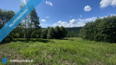 Niepowtarzalna działka widokowa na południowym stoku Zakrzów Wadowice - Zakrzów  -
małopolskie Zdjęcie nr 8