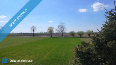 DZIAŁKI BUDOWLANE Z KOMPLETEM DOKUMENTÓW Dąbrowa  gm Lądek  powiat słupecki - Dąbrowa  -
wielkopolskie Zdjęcie nr 8