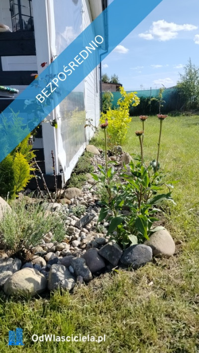  Wyjątkowa działka rekreacyjna blisko jeziora  Radzynek gm Brzuze  - Radzynek  -
kujawsko-pomorskie Zdjęcie nr 12