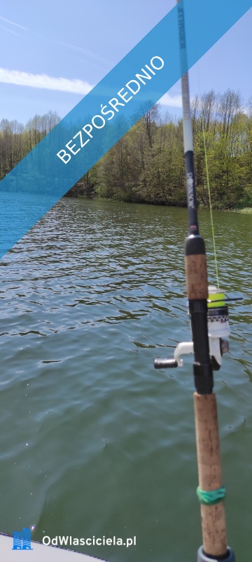  Wyjątkowa działka rekreacyjna blisko jeziora  Radzynek gm Brzuze  - Radzynek  -
kujawsko-pomorskie Zdjęcie nr 17