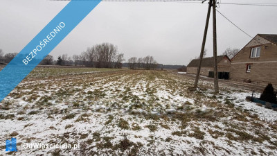 Siedlisko  166 ha z Lasem i Działką Budowlaną  W MILEJEWIE GM OSTROWITE - Milejewo  -
wielkopolskie Zdjęcie nr 5
