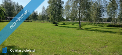 MAZURY Działka nad jeziorem Roś z dostępem do linii brzegowej i pomostu -  Szczechy Małe - Szczechy Małe  -
warmińsko-mazurskie Zdjęcie nr 9
