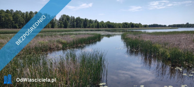 MAZURY Działka nad jeziorem Roś z dostępem do linii brzegowej i pomostu -  Szczechy Małe - Szczechy Małe  -
warmińsko-mazurskie Zdjęcie nr 10
