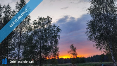 MAZURY Działka nad jeziorem Roś z dostępem do linii brzegowej i pomostu -  Szczechy Małe - Szczechy Małe  -
warmińsko-mazurskie Zdjęcie nr 3