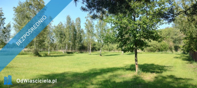 MAZURY Działka nad jeziorem Roś z dostępem do linii brzegowej i pomostu -  Szczechy Małe - Szczechy Małe  -
warmińsko-mazurskie Zdjęcie nr 8