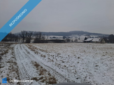Widokowe działki 30 arów w gorach - Gorzanów  -
dolnośląskie Zdjęcie nr 5