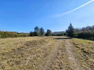Działka budowlana 8600 m2 w klimatycznej miejscowości  Osuchów  Mszczonów  Żyrardów - Osuchów  -
mazowieckie Zdjęcie nr 4