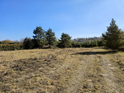 Działka budowlana 8600 m2 w klimatycznej miejscowości  Osuchów  Mszczonów  Żyrardów - Osuchów  -
mazowieckie Zdjęcie nr 6