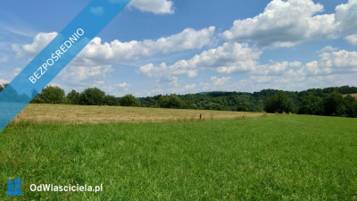 Działka BUDOWLANA Bieszczady Bóbrka k SOLINA - Bóbrka  -
podkarpackie Zdjęcie nr 6