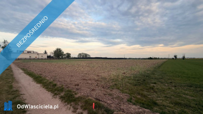 Działki budowlane na sprzedaż  Kotunia gm Słupca - Kotunia  -
wielkopolskie Zdjęcie nr 4