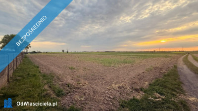 Działki budowlane na sprzedaż  Kotunia gm Słupca - Kotunia  -
wielkopolskie Zdjęcie nr 5