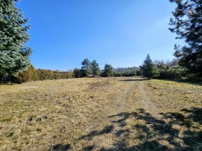 Działka budowlana 8600 m2 w klimatycznej miejscowości  Osuchów  Mszczonów - Mszczonów  -
mazowieckie Zdjęcie nr 7