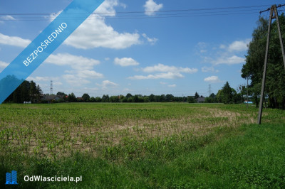 Skoczów Ochaby 157ha pod usługi i budownictwo - Skoczów  -
śląskie Zdjęcie nr 2
