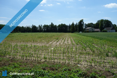 Skoczów Ochaby 157ha pod usługi i budownictwo - Skoczów  -
śląskie Zdjęcie nr 3