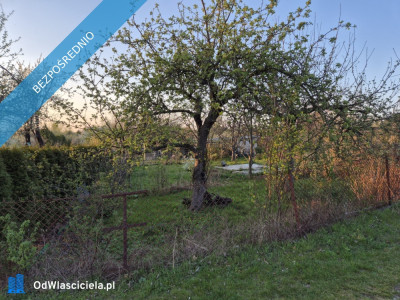 Sprzedam działkę ROD w Świdnicy - Świdnica  - dolnośląskie
